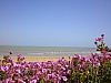 sicile 2008 264.jpg